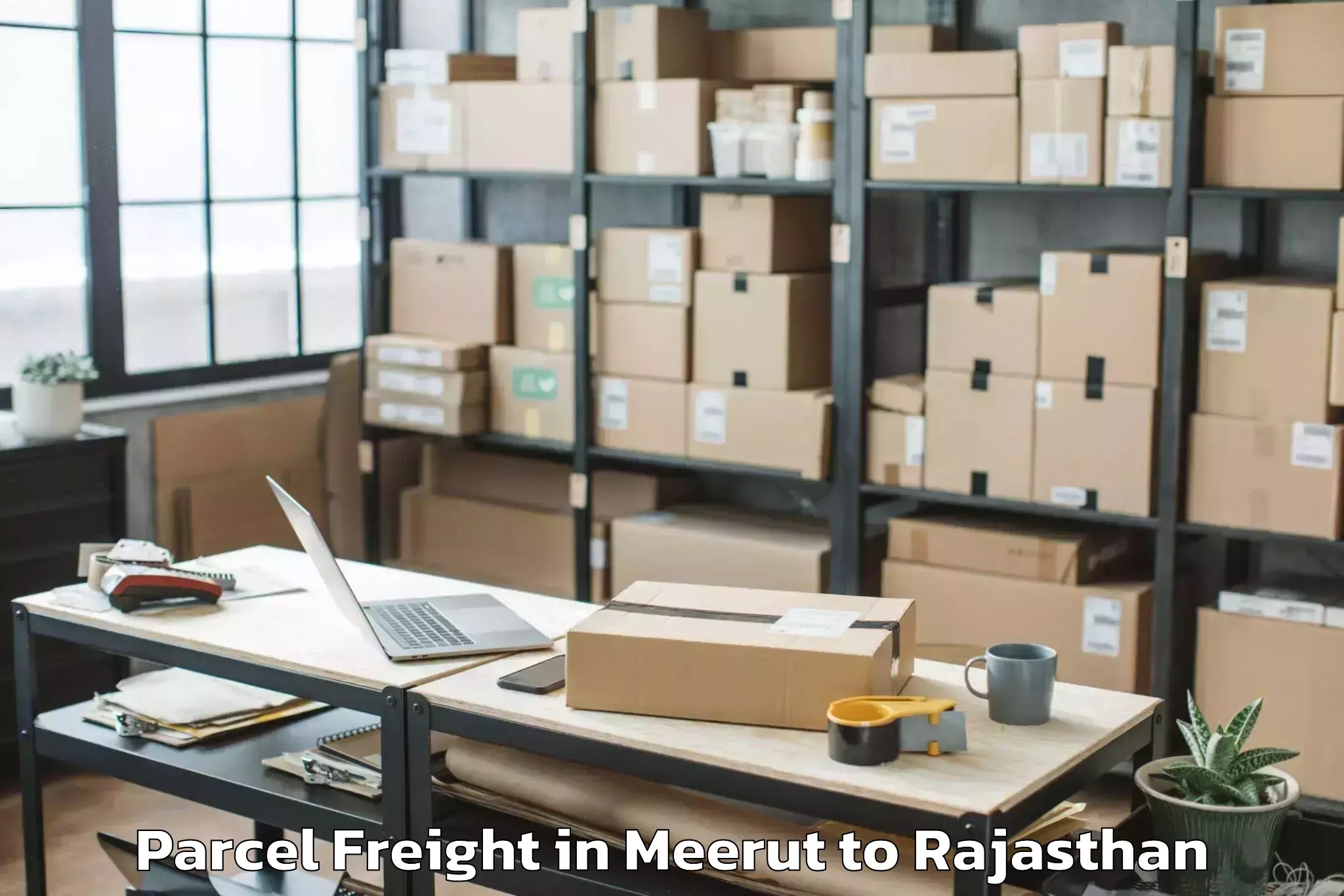 Expert Meerut to Sangam University Bhilwara Parcel Freight